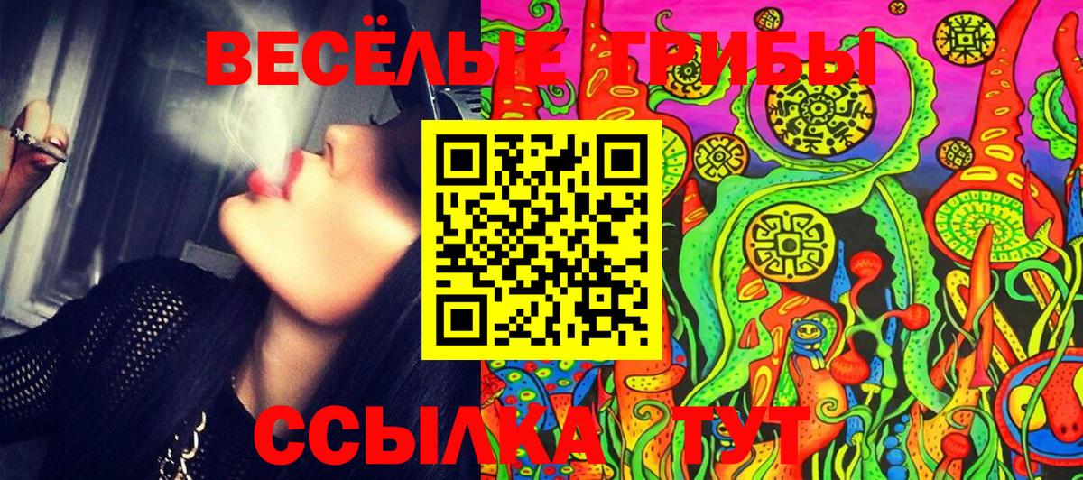 где найти наркотики  Псилоцибиновые грибы мицелий  Вход с VPN  Кимры  Галлюциногенные грибы GOLDEN TEACHER 